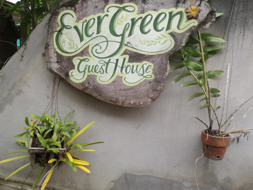Ever Green Guest House - Sha Plus Pai Exterior photo